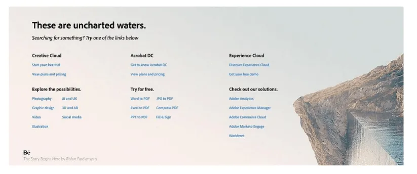 Adobe Microcopy Example